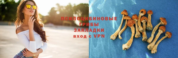 не бодяженный Абаза