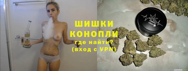 прущие грибы Покачи
