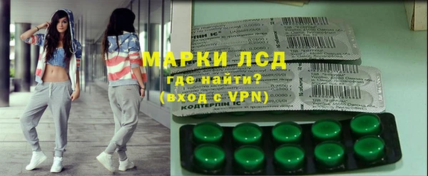 прущие грибы Покачи