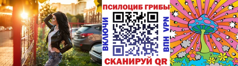 Псилоцибиновые грибы ЛСД  hydra ссылки  Кадников 